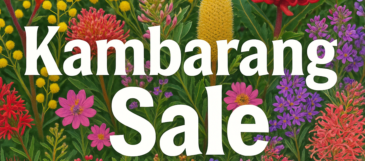 bigs words that say Kambarang Sale with a background of lots of beautiful native australian flowers